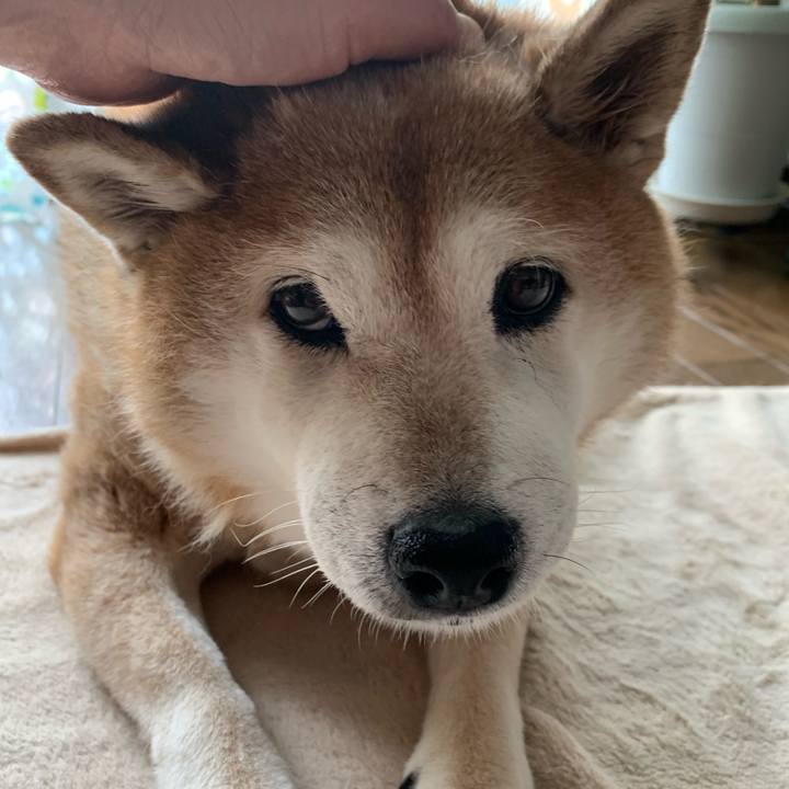 D4bee2cb e438 4c2e 97b3 3fb5906675fc 1567300440548