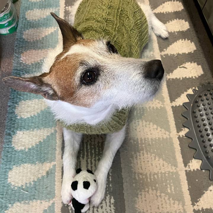 D4bf1674 0030 429e bcd9 2958312e64be 1673392792800