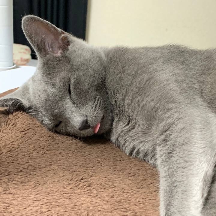 D4bf4d31 61dd 4466 bf6c 519dd0371d0e 1575754124049