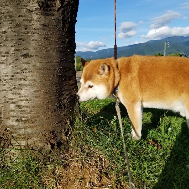 D4bf93f1 fd2d 4f11 af57 b8dc87054225 1568038775984