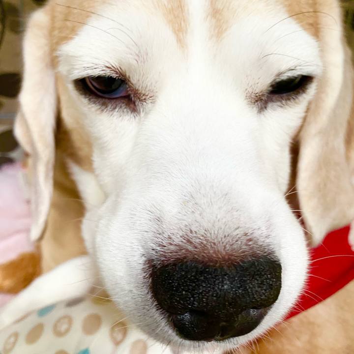 D4c00a4c 5db7 453d bd58 d84707ea490a 1603863815841