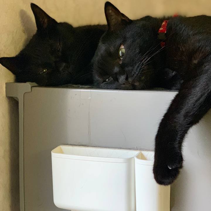 D4c00e2a a59b 4e14 86f4 80e1edb89c4f 1563411124780