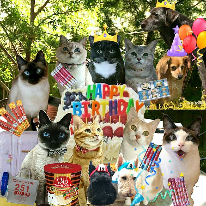 D4c0167b dda2 4991 bb0f c12ebd223fec 1526200397415