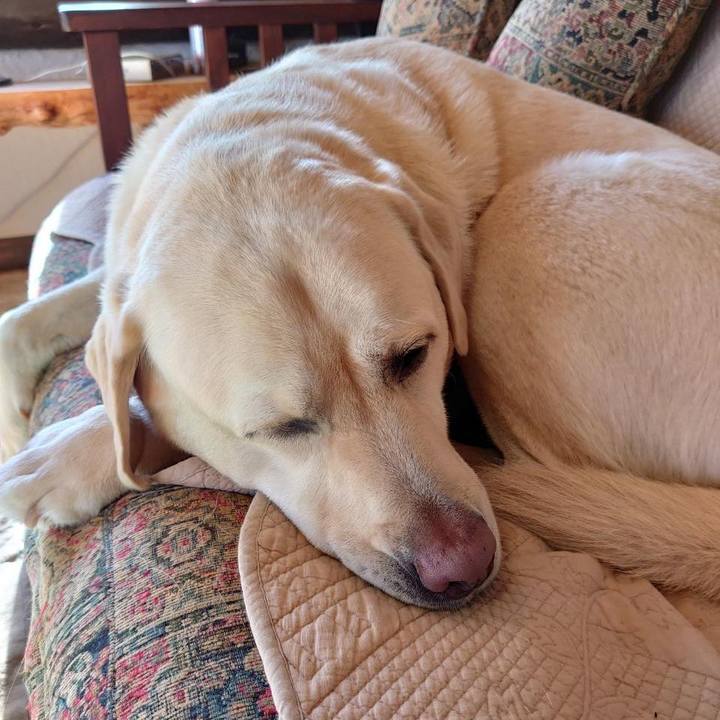 D4c05a36 13f1 4a8d a803 aa60478f37a2 1639200835208