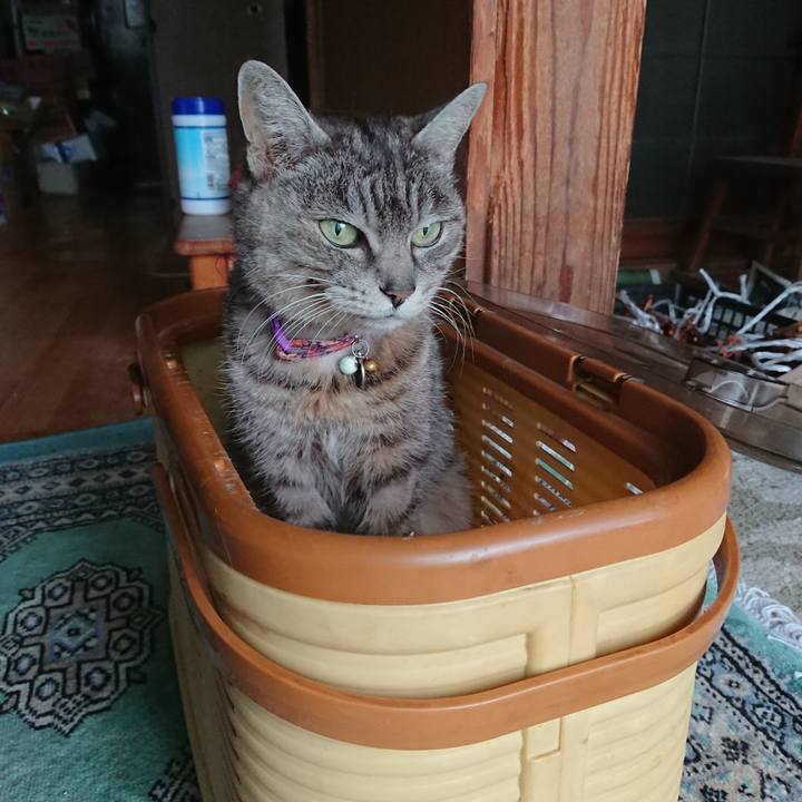 D4c064a3 b271 4cee b05a ec674fdd5f5c 1584172822625