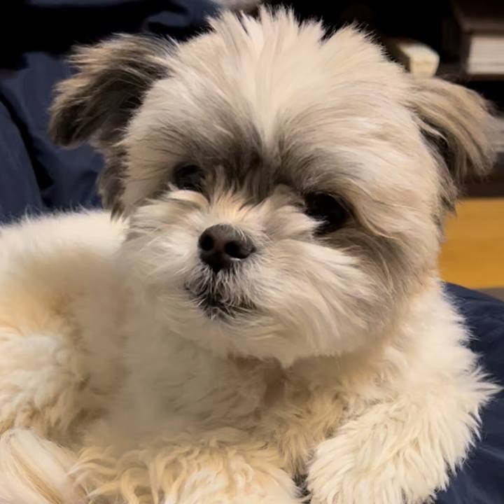 D4c06c31 11a9 460b 9c78 2cec8ee5da95 1646284397180