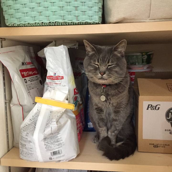 D4c07147 df67 4cf5 ac95 aeb1cf6bc8af 1537917634190