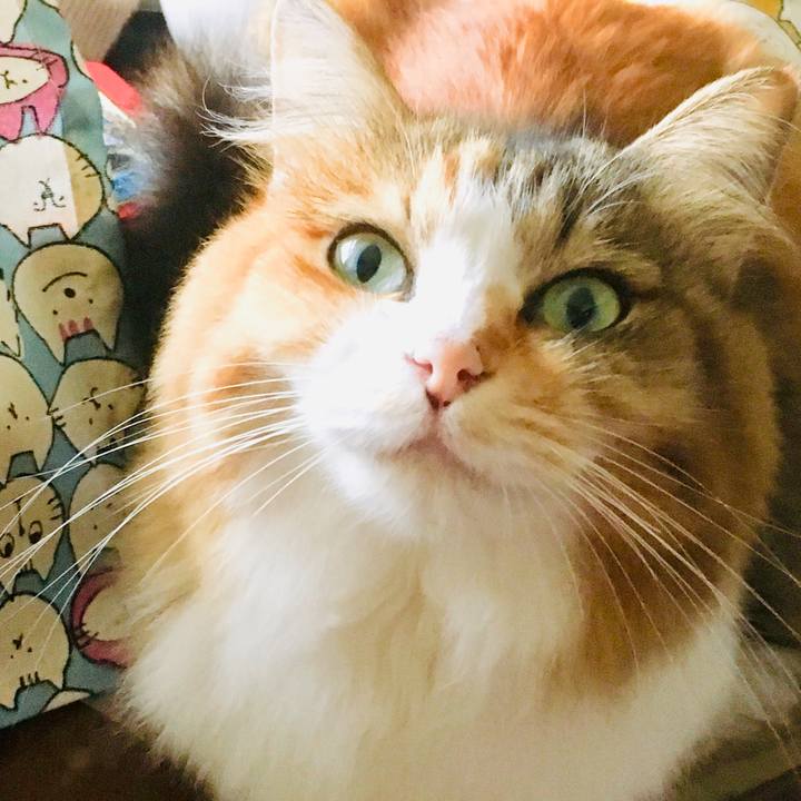 D4c0718b d4a9 49d6 affc 447155faca8e 1557870887146