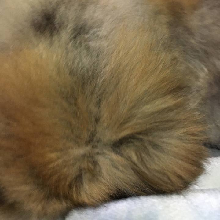 D4c09018 4165 471e 8f27 549b5fb677bc 1649911197788