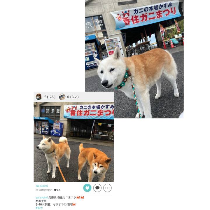 D4c0b9ea b0b4 40c0 9ffa 1f26d09c5b2f 1663369413792