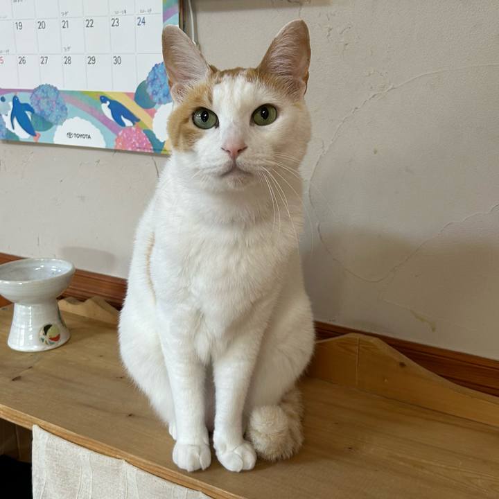 D4c150d3 b1d8 4ef2 84dd c1849a689572 1686108592729