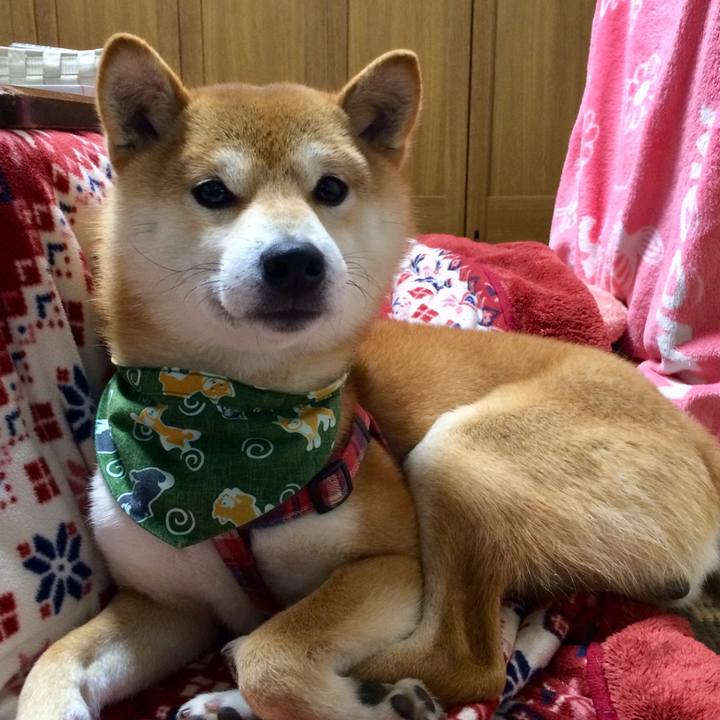 D4c174bd bfb4 4b1b b1d1 38cdf4d388a1 1516187327306