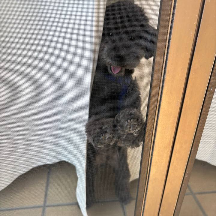 D4c18e13 fa22 4195 86bf 6b403bab35cc 1723462721238