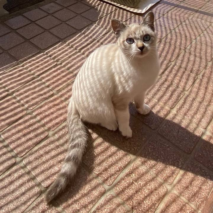 D4c1c0a6 111b 4578 82ac c3e453be53c1 1666759633296