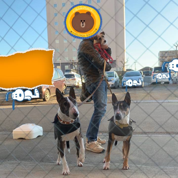 D4c1d2d2 4424 4c66 8013 46aea156458e 1578218978245