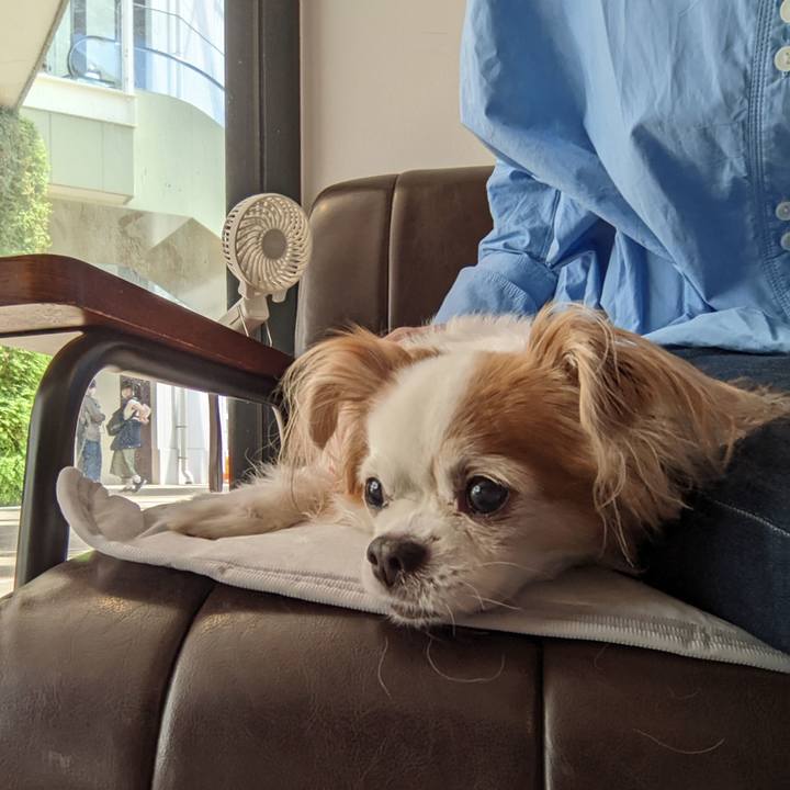 D4c1d345 1971 4fbc b86b 6a8213a5364b 1651643726240