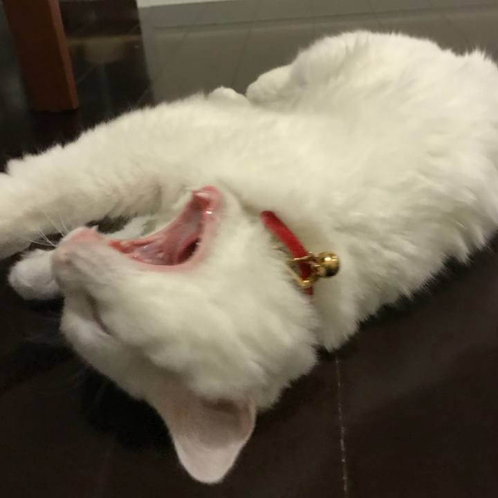 D4c1d558 957b 467d 8975 37cb62b901b0 1514028773121