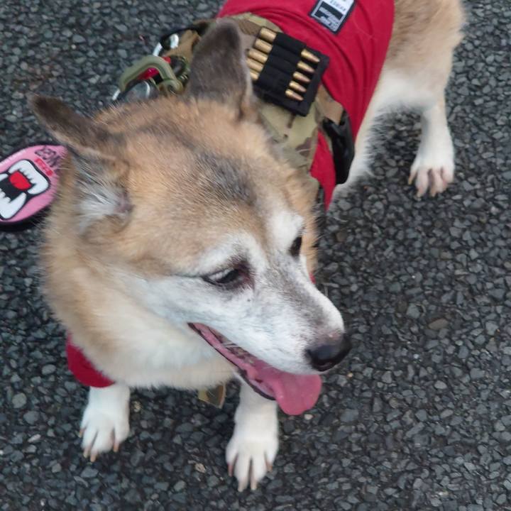 D4c229ed 5705 4de5 855a 0d3b05cc29b9 1661652068295