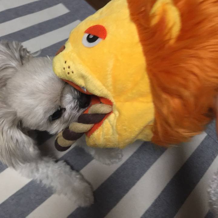 D4c236f8 7da0 4751 a97d f689e9a582f2 1518608243190