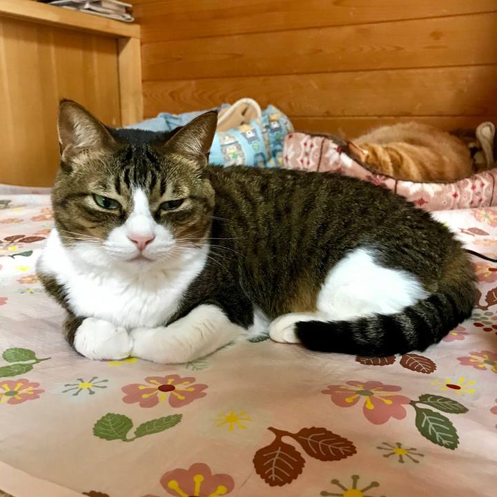 D4c23f5b da6b 4e3f bef3 387e4c19cdc7 1549432677382