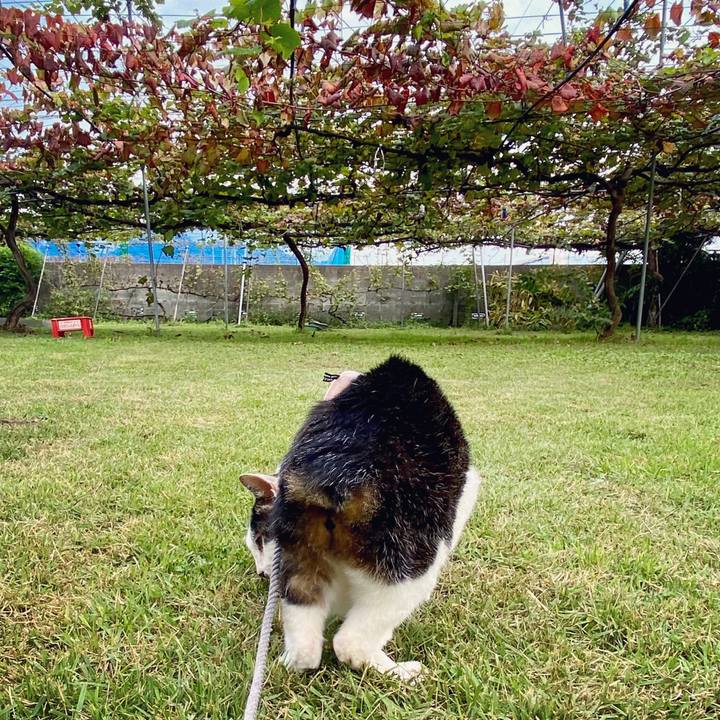 D4c24c5e b3a6 4cc9 b9cf f229d8e59083 1603352800418