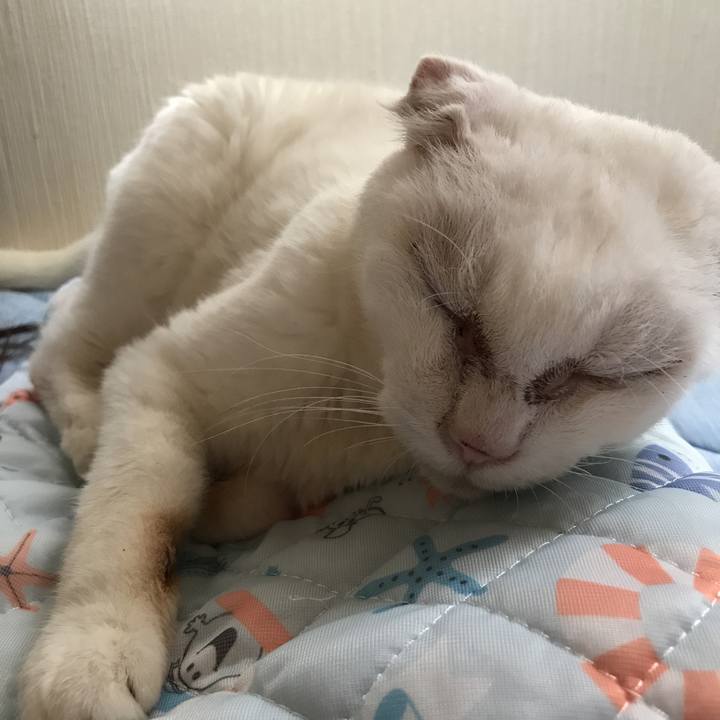 D4c24d91 d317 4b90 9e39 a816b030ade1 1535406304090