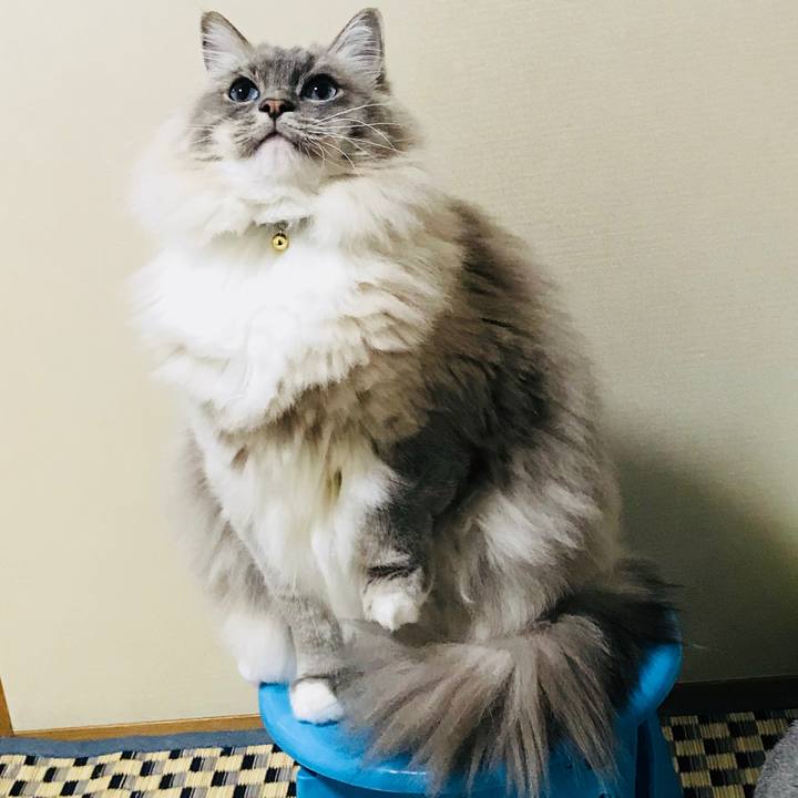 D4c2dbab fca1 4341 af1e 2cd66bcb96b4 1515413641391