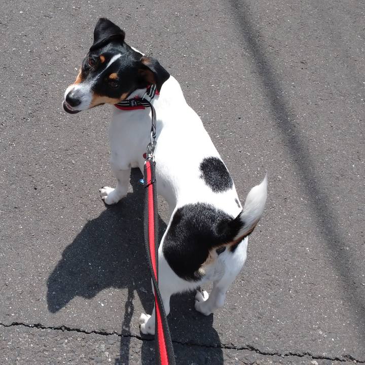 D4c339d4 83ac 4575 9928 066f71f691f6 1589254809055