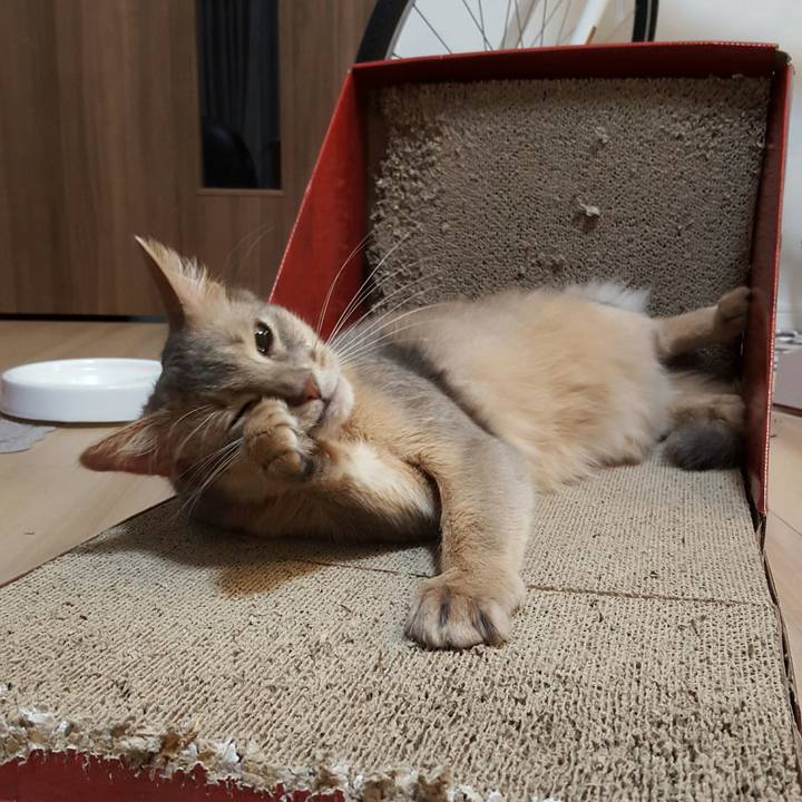 D4c343e3 1f80 46e9 a3e6 08730d725257 1515398468456