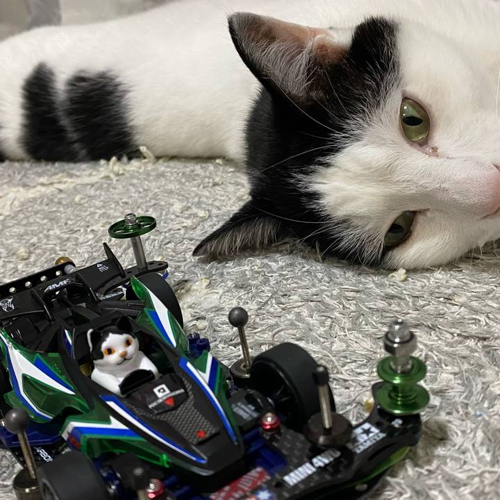 D4c36a9a 23e2 4cd0 9b3d c73d43add751 1634352437127