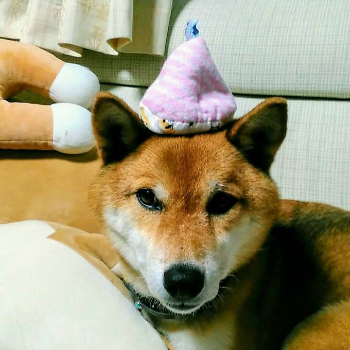 D4c38186 1d5d 49cd 8f38 95495feeb9ef 1563444355672