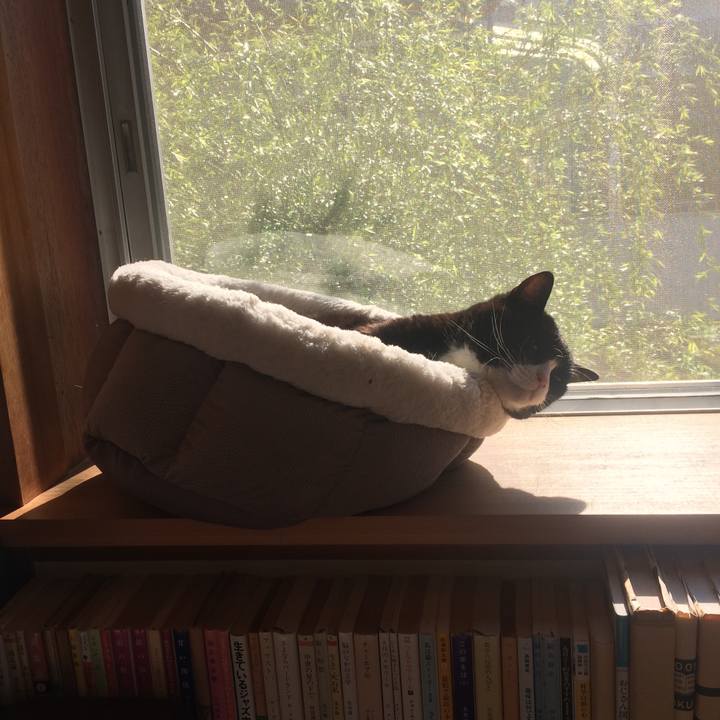 D4c39390 ff6c 463e a434 373efded17ef 1554160694449