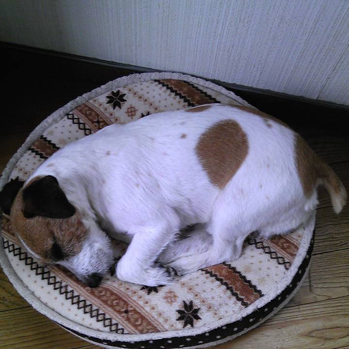 D4c3d34b 866f 47ca 94ff 77328a0959e0 1524461660285