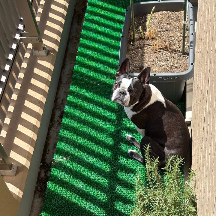 D4c3db89 e499 46b1 af1e ae0d5013ae38 1743738059676