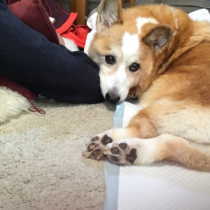 D4c3e69c 1e7c 4daf bf5d b567799d36cb 1572754100381