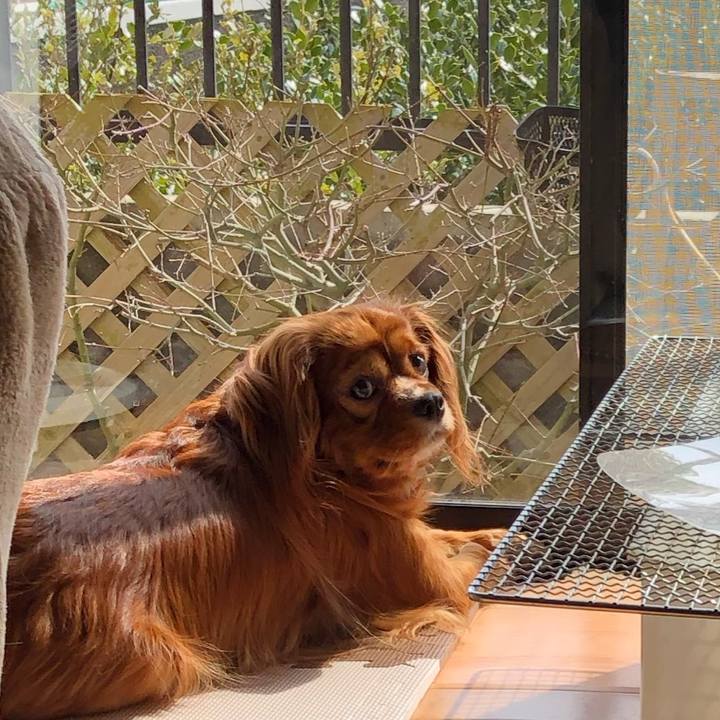 D4c401c1 f884 43dd acff 77cfa1c45429 1583035566772