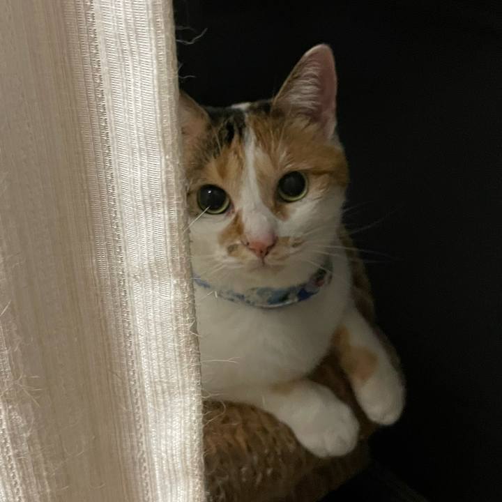 D4c423f1 be34 4431 b816 cd203855d2be 1695912257768