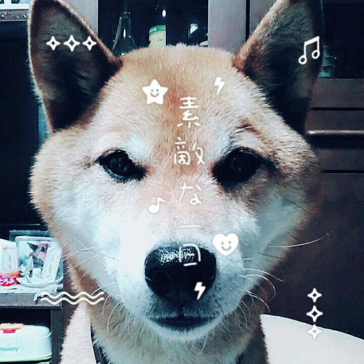 D4c45000 43ab 44b5 98a6 2c90d5f5cd1d 1562661372783