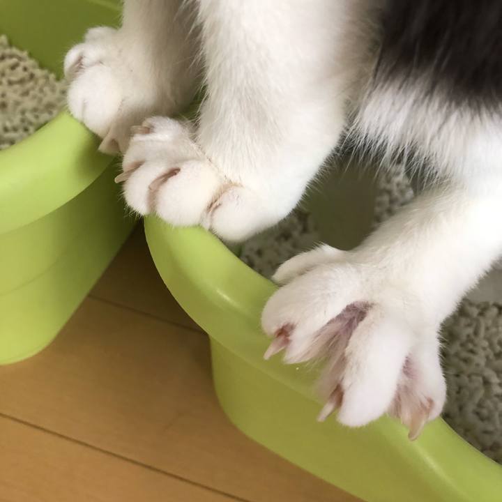 D4c4c487 c297 44b4 9f91 de851e97720f 1551490359723