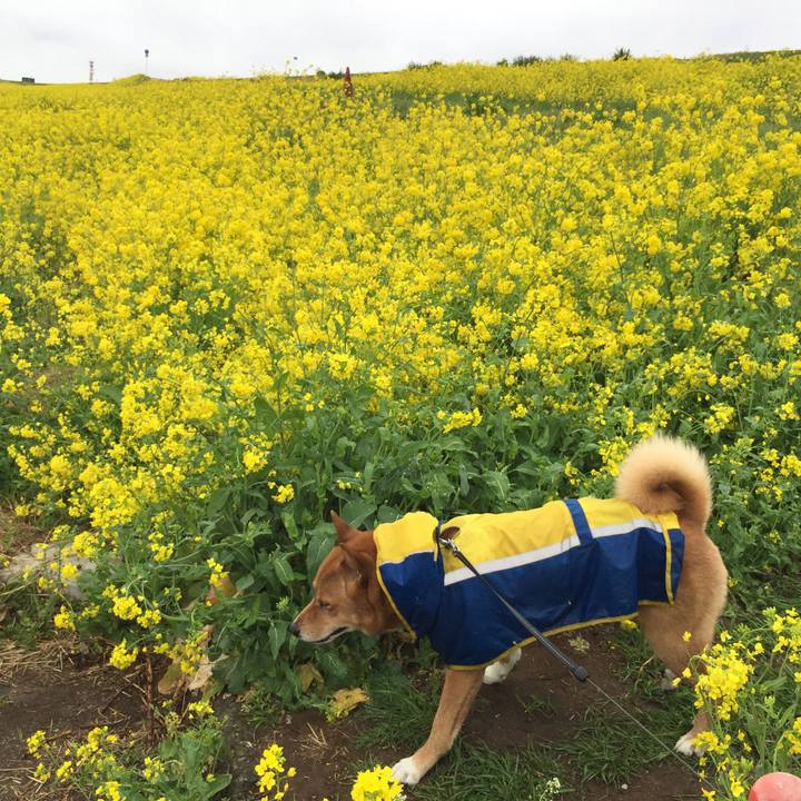 D4c50403 75cf 4c61 9d37 e21095c24d2a 1616361869125