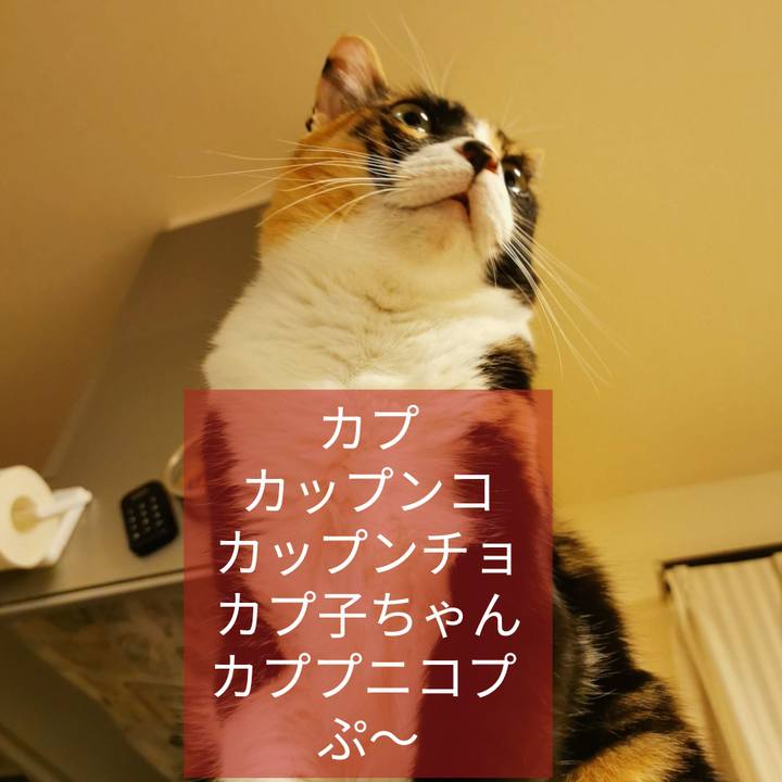 D4c50eab 9e5d 48c6 8e69 8225d19a2497 1656300814299