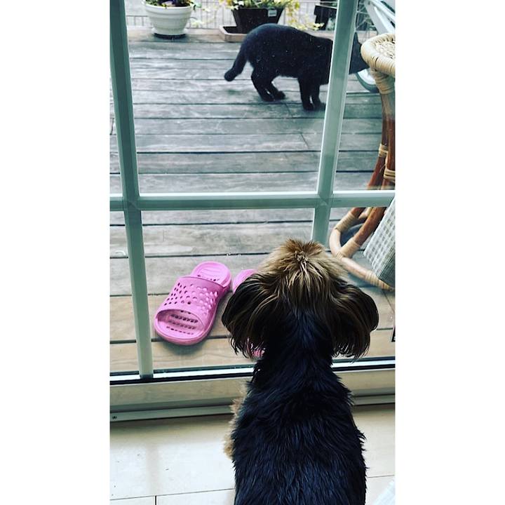 D4c51718 c850 4fde 9f44 514951fc76a2 1679380133172