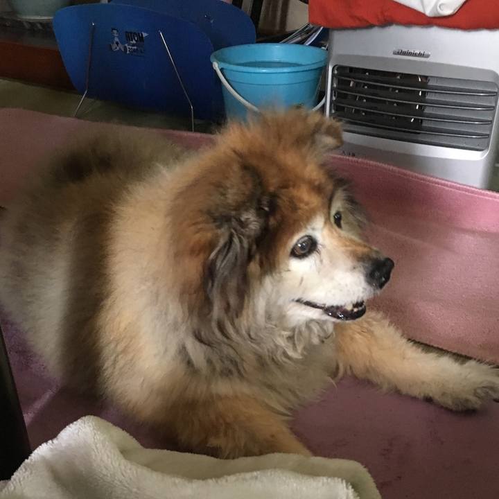 D4c52083 a753 4ffb bebd c4d41f95a049 1574357230826