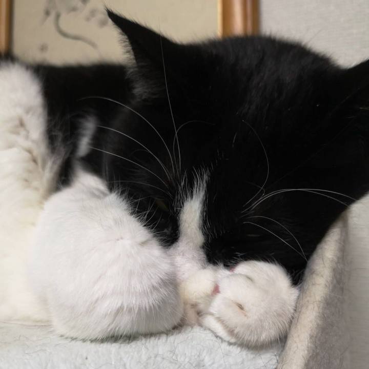 D4c58a60 5be2 4352 a53f 255e501a05f0 1649219143344