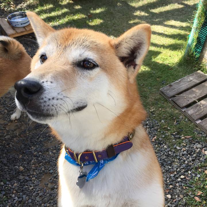 D4c59f23 5179 4f90 8077 cdf7b562638d 1573993336429