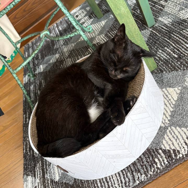 D4c5c7c8 6388 455f af7c a28766c4eead 1757468331468