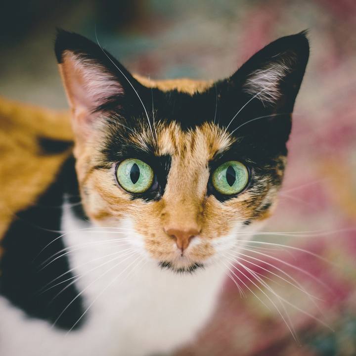 D4c5d625 7dd3 4195 9c3d 1390c6ff0242 1623040312412