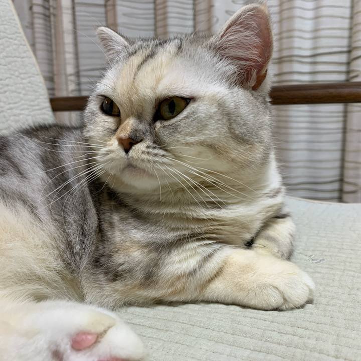 D4c5dbb9 810b 4b4b 8d20 3783dee6af26 1708424096112