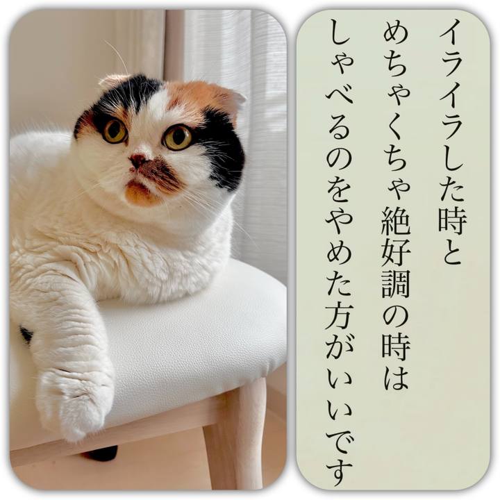 D4c5f84e be06 4cd0 ab00 9ed7997bc65d 1703544346102