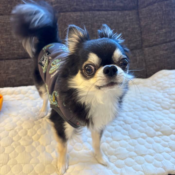 D4c62891 4776 4688 83e1 b0c355a61fd2 1740844681114